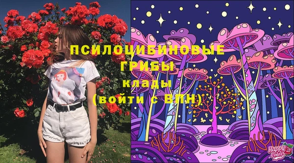 винт Бугульма