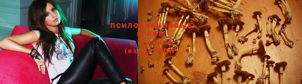 прущие крисы Бородино