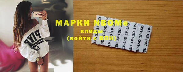 прущие крисы Бородино