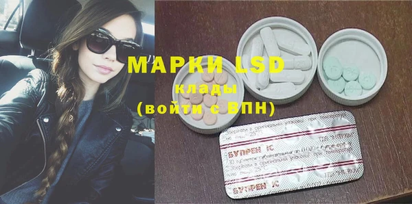 прущие крисы Бородино