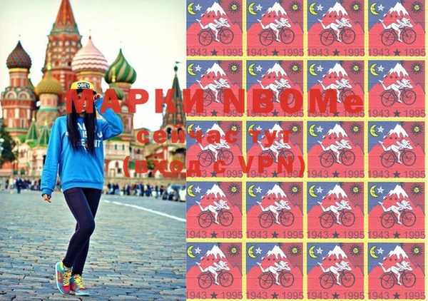 прущие крисы Бородино