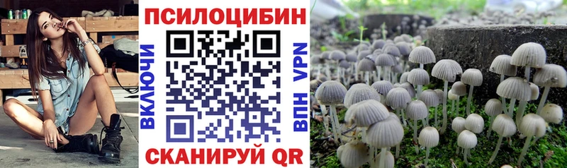 где купить наркотик  кракен ТОР  Галлюциногенные грибы прущие грибы  Рузаевка 